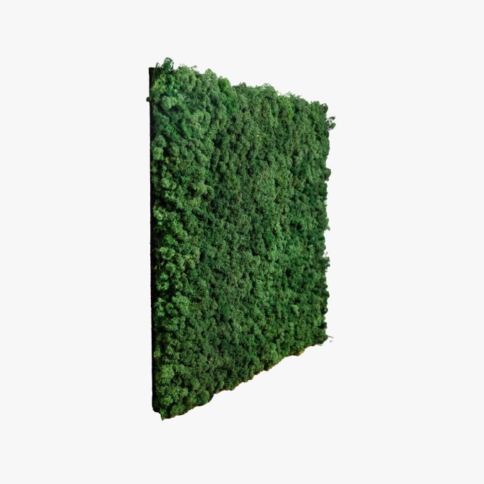 akupanel - panel de musgo